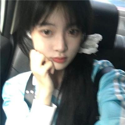 今天也很可爱的狗